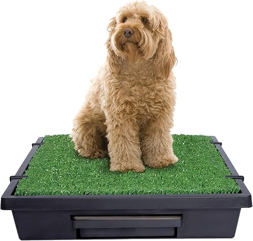 PetSafe Pet Loo Portable Outdoor or Indoor Dog Potty - Reusable Dog Grass Pad with Tray - Alterna... | Amazon (US)