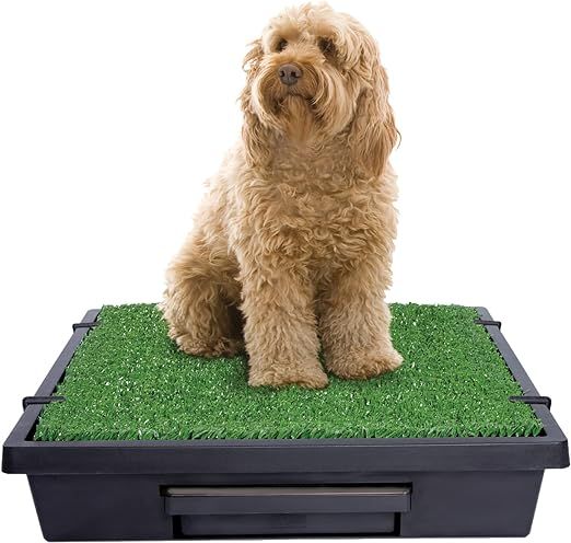 PetSafe Pet Loo Portable Outdoor or Indoor Dog Potty - Reusable Dog Grass Pad with Tray - Alterna... | Amazon (US)