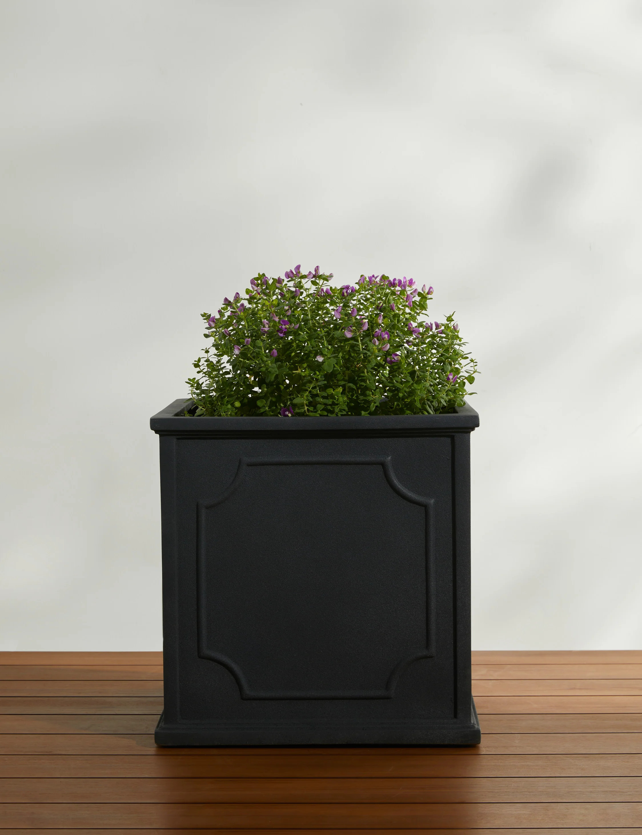 Cumberland Planter by Campania International, Lead, Medium | Lulu and Georgia 