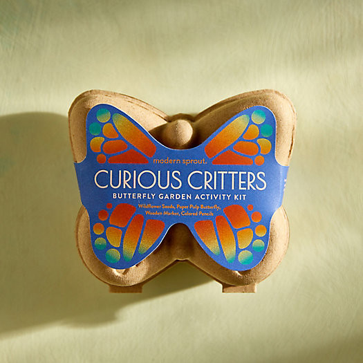 Butterfly Garden Activity Kit | Terrain