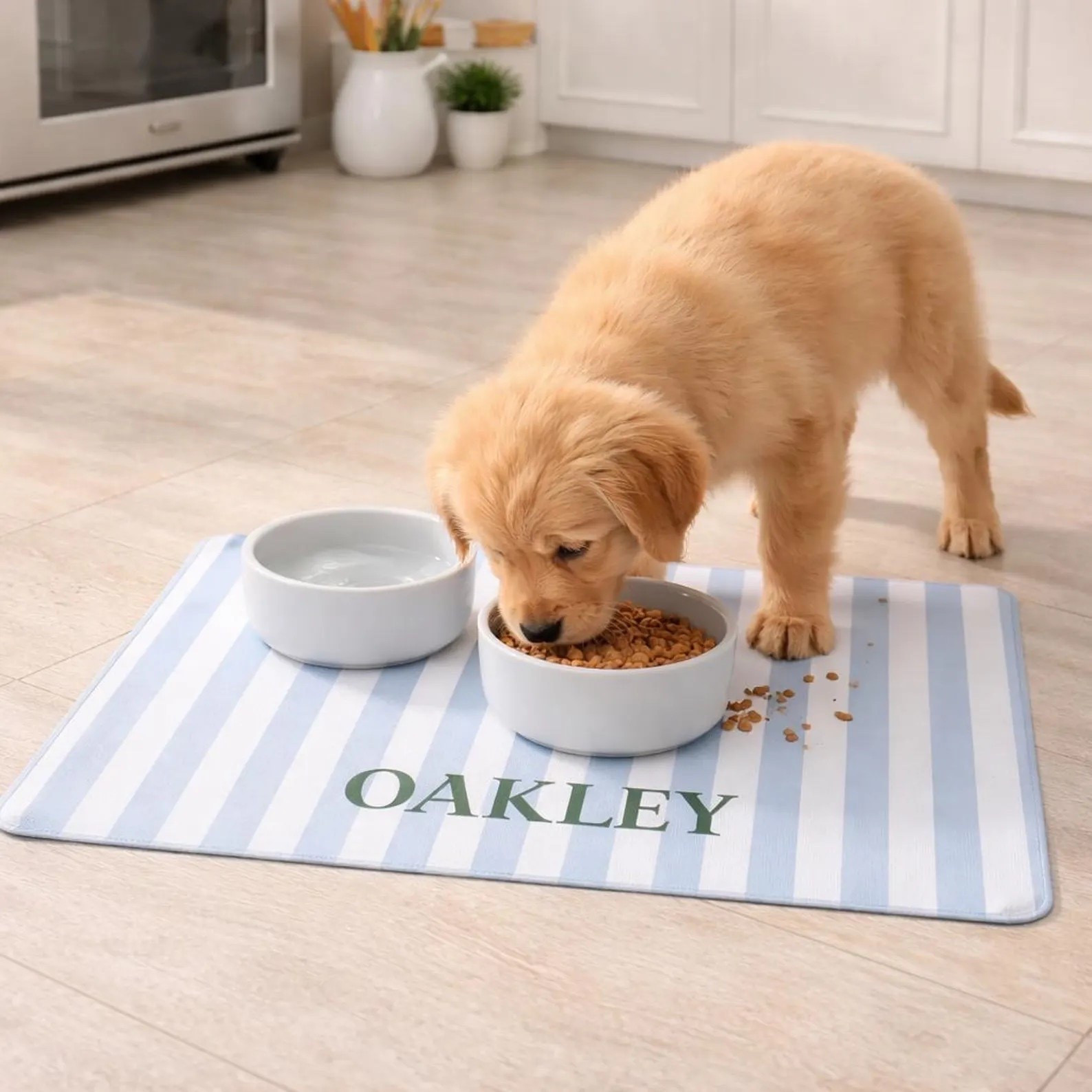 Personalized dog mat 🐶



#LTKpets #LTKfamily

#LTKSaleAlert