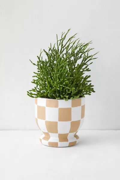 Frankie Checkered Planter | Urban Outfitters (US and RoW)