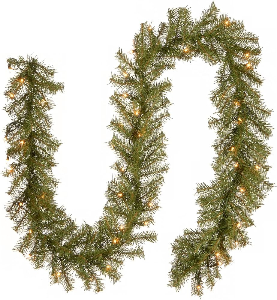 National Tree Company Pre-Lit Artificial Christmas Garland, Green, Norwood Fir, White Lights, Plu... | Amazon (US)