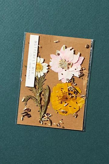 Blossom Seed Kit | Anthropologie (US)
