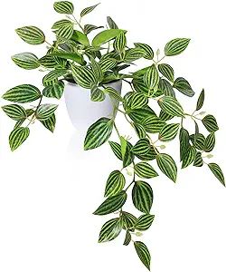 Fake Plants, Artificial Plants 15 Inch Faux Peperomia Watermelon Plants for Indoor Outdoor Decor,... | Amazon (US)