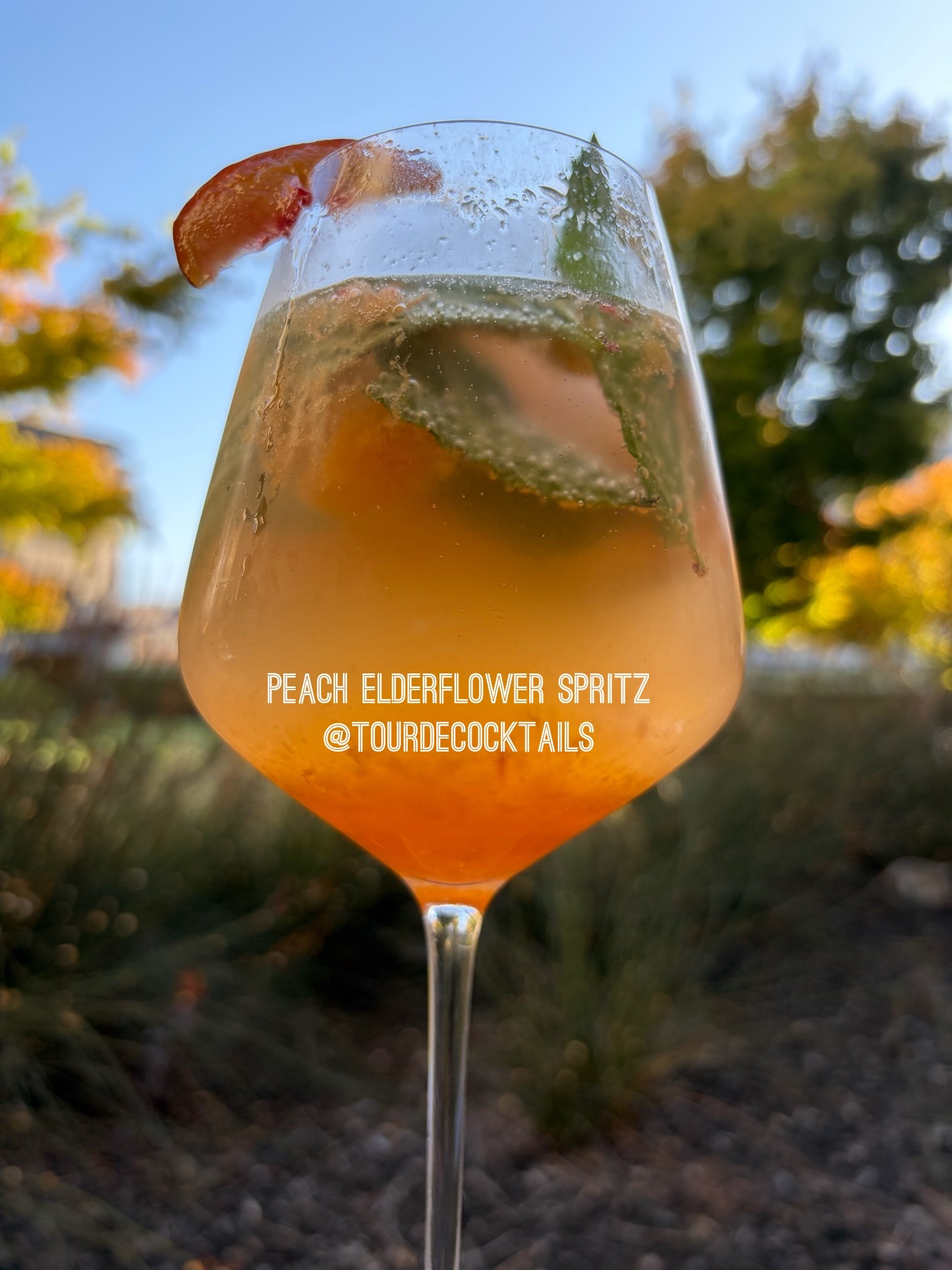 Spritz season! ✨Peach elderflower cocktail for happy hour at home in my new wine glasses

#LTKfoodie #LTKHome #LTKdayinmylife