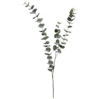 Tall Dusty Green Eucalyptus Stem by Ashland® | Michaels | Michaels Stores