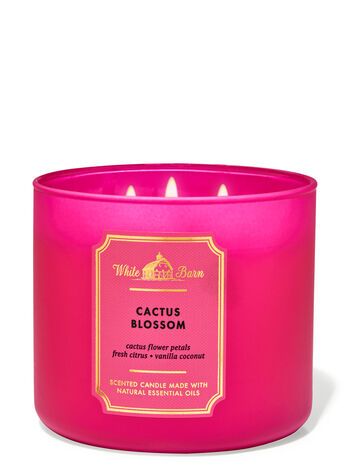 White Barn


Cactus Blossom


3-Wick Candle | Bath & Body Works