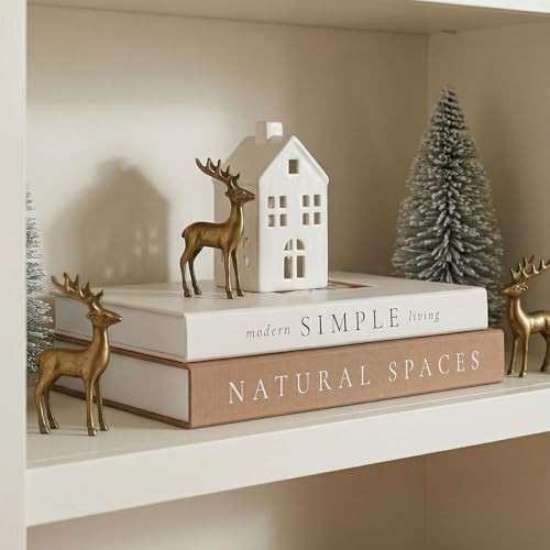 Beautiful Decorative Books - Set of 2 Boxes Enhance Your Coffee Table, Bookshelf or Mantel Shelf ... | Amazon (US)