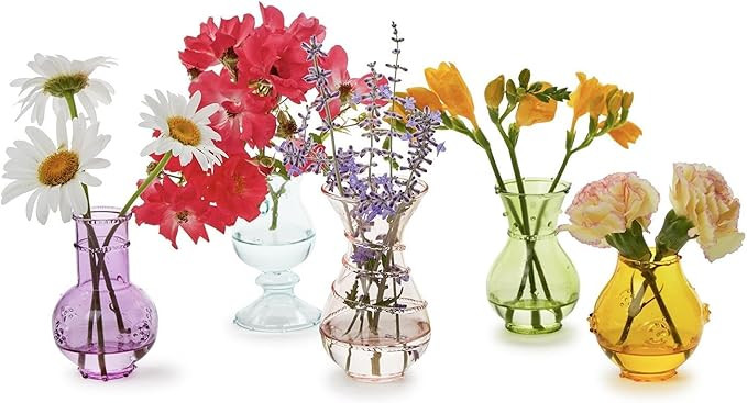 Two's Company Verre Hand-Blown Bud Vases, Glass, Set of 5 | Amazon (US)