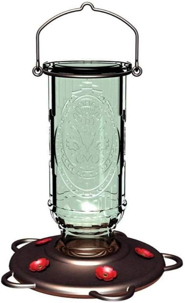 More Birds Vintage Hummingbird Feeder, Antique Glass Hummingbird Feeders for Outdoors, 5 Feeding ... | Amazon (US)