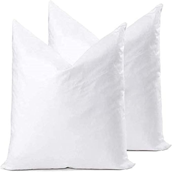 YSTHER Down Feather Throw Pillow Inserts 12x12 Set of 2 Square Form Sham Stuffer Premium Hypoalle... | Amazon (US)