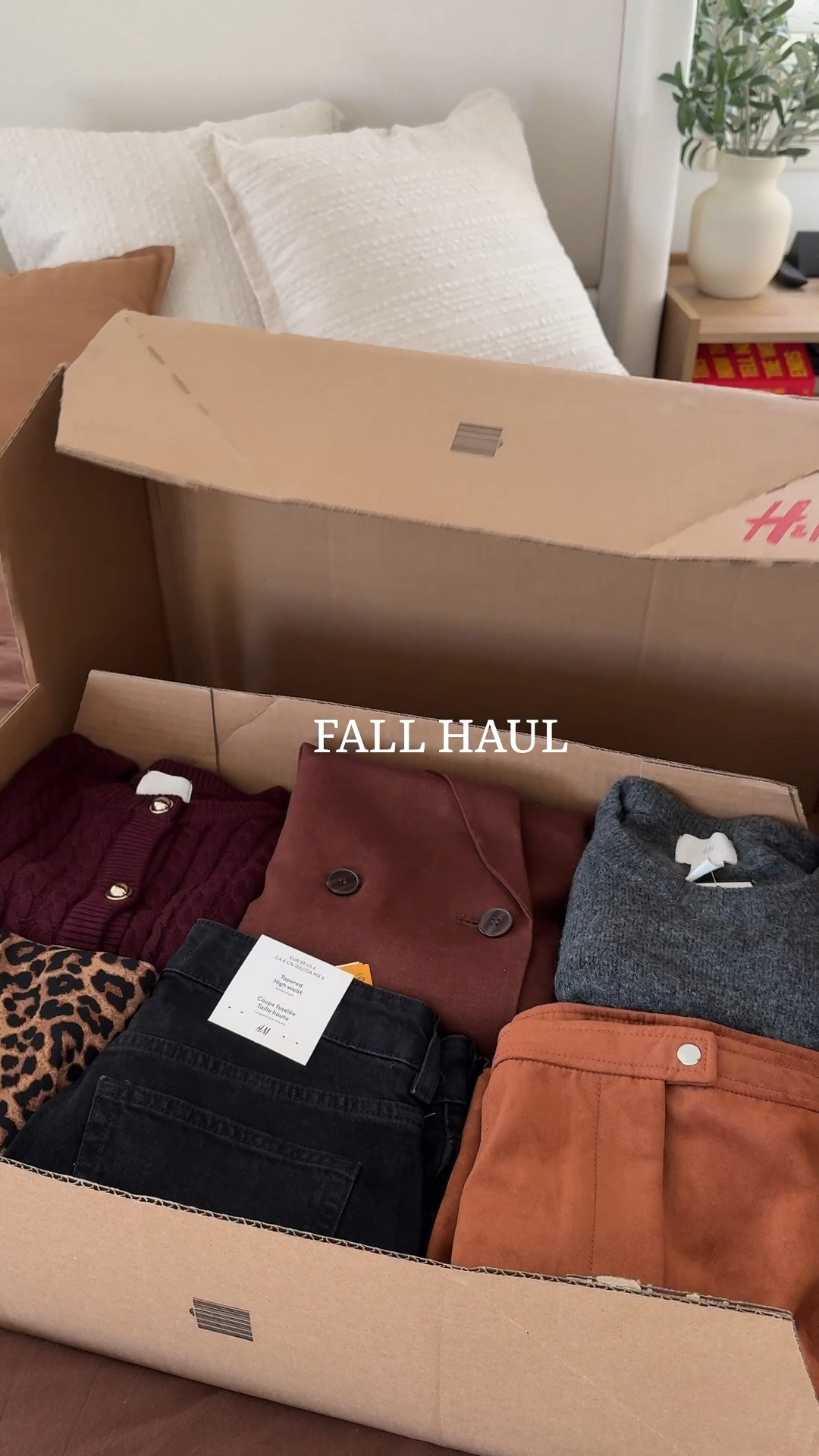 Fall Haul 🍂☕️

#LTKWorkwear #LTKStyleTip
