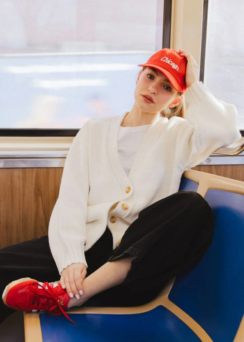 Chicago. Dad Hat - Astros Brick | Alice & Wonder