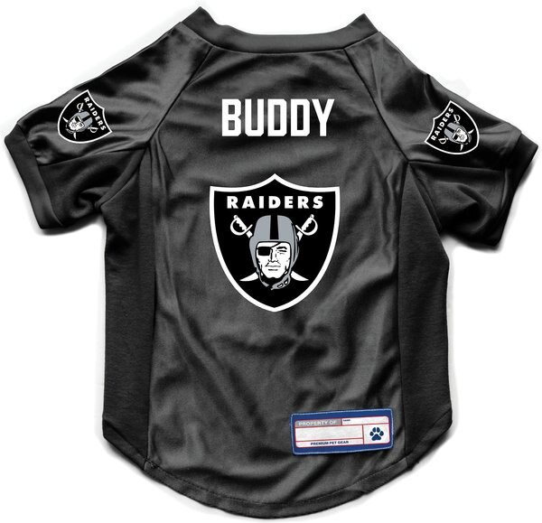 LITTLEARTH NFL Personalized Stretch Dog & Cat Jersey, Las Vegas Raiders, X-Small - Chewy.com | Chewy.com