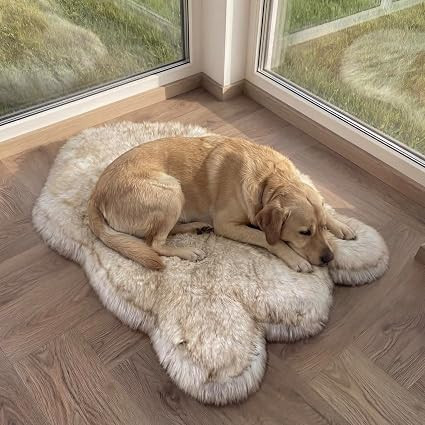Faux Fur Orthopedic Dog Bed, Memory Foam, White w/Brown Tips 50"x30" | Amazon (US)