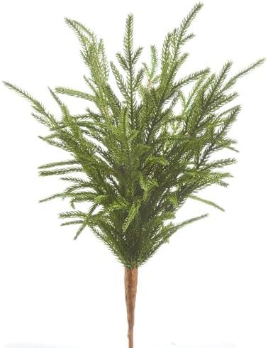 18" Soft Touch Norfolk Pine Pick | Amazon (US)