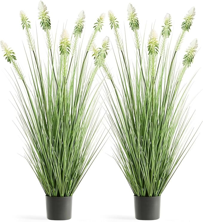 4ft 2-Pack Horsetail Reed Grass with White Cockscomb Flower, 48in Tall Indoor Outdoor Green Onion... | Amazon (US)