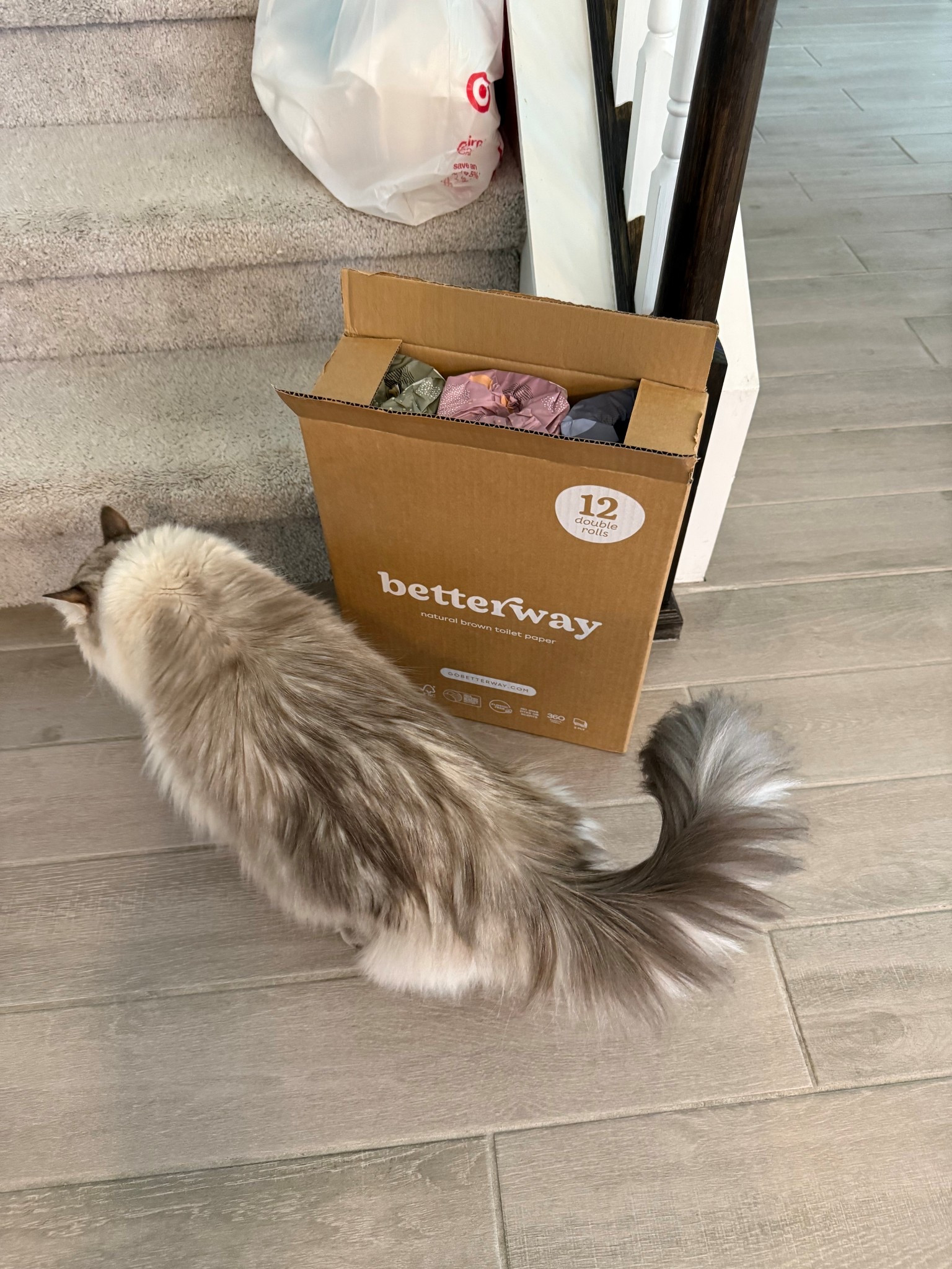 Healthier option 🧻 

#LTKHome #LTKFamily #LTKFindsUnder50