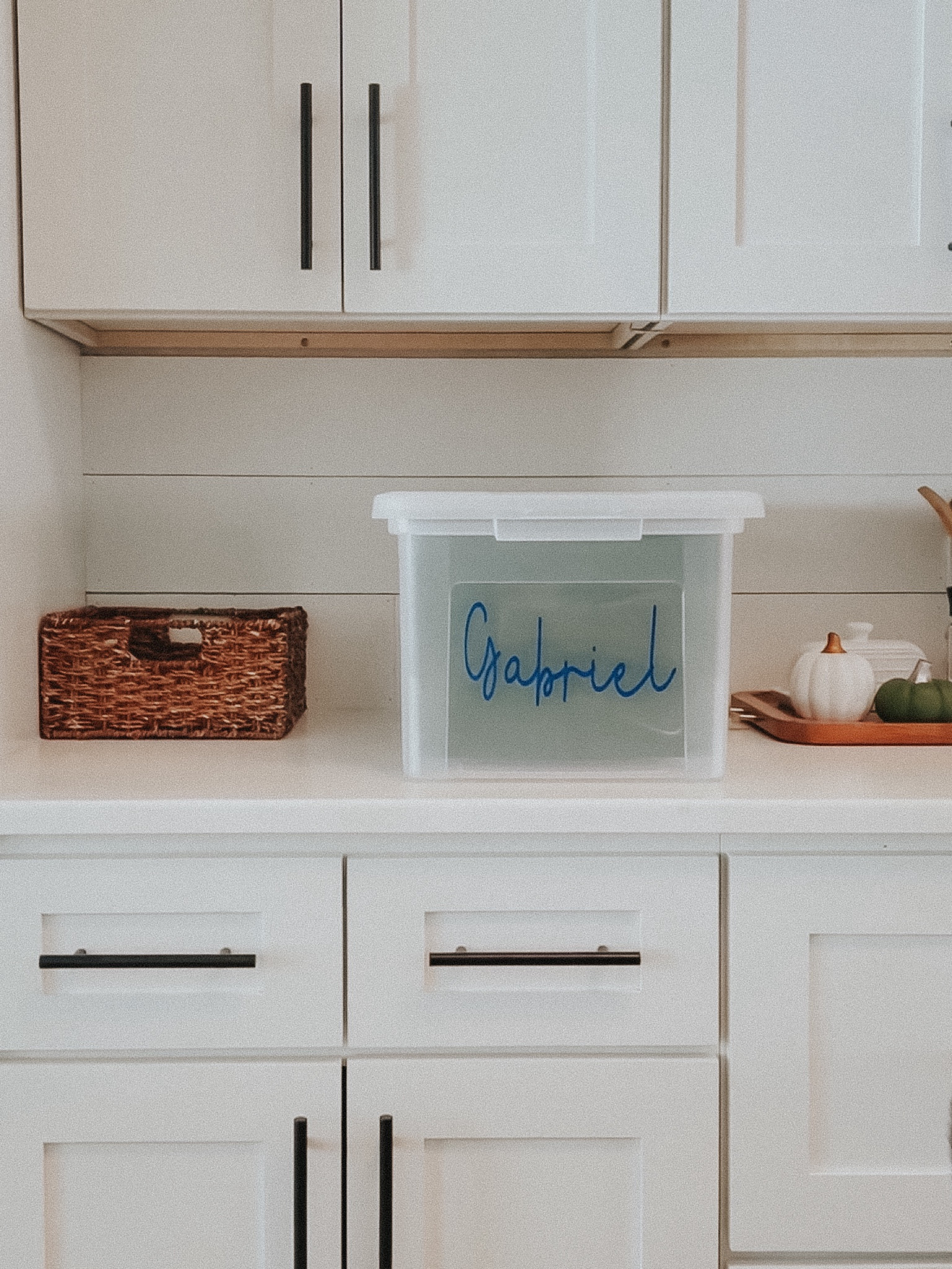 My favorite way to keep memories safe for the kids is by storing paperwork and art projects in a file Box. Use hanging folders for each grade  

#LTKfamily #LTKkids #LTKhome