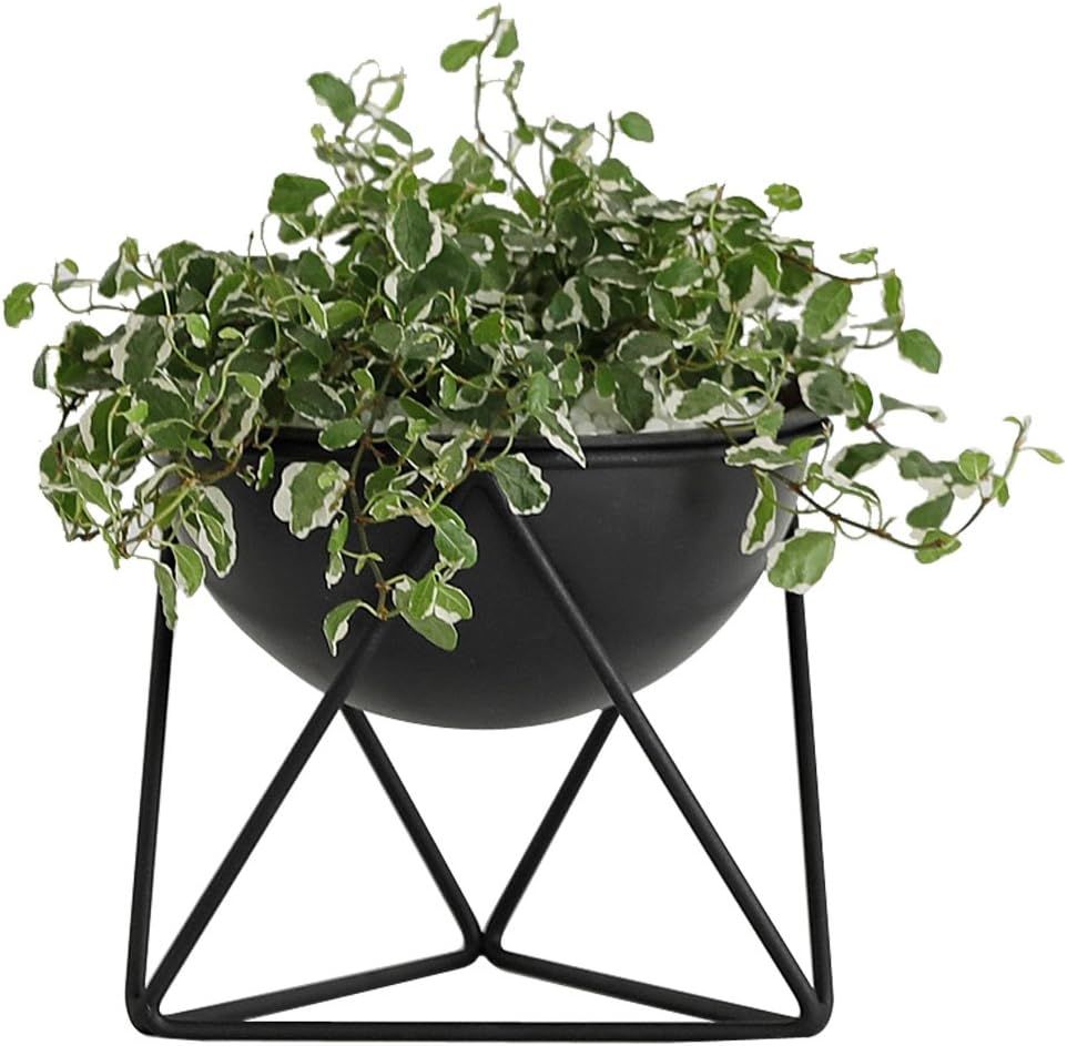 Roomnhome Mono Plant Pot Stander with Iron Frame and Plastic Pot Holder(D-Type/5"/Black) | Amazon (US)