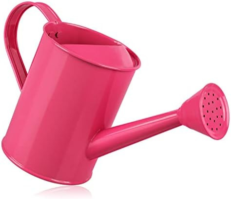 Homarden Watering Can for Kids - Play Time or Practical Use - Childs Metal Watering Can - Small W... | Amazon (US)