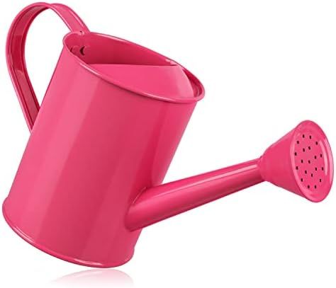 Homarden Watering Can for Kids - Play Time or Practical Use - Childs Metal Watering Can - Small W... | Amazon (US)