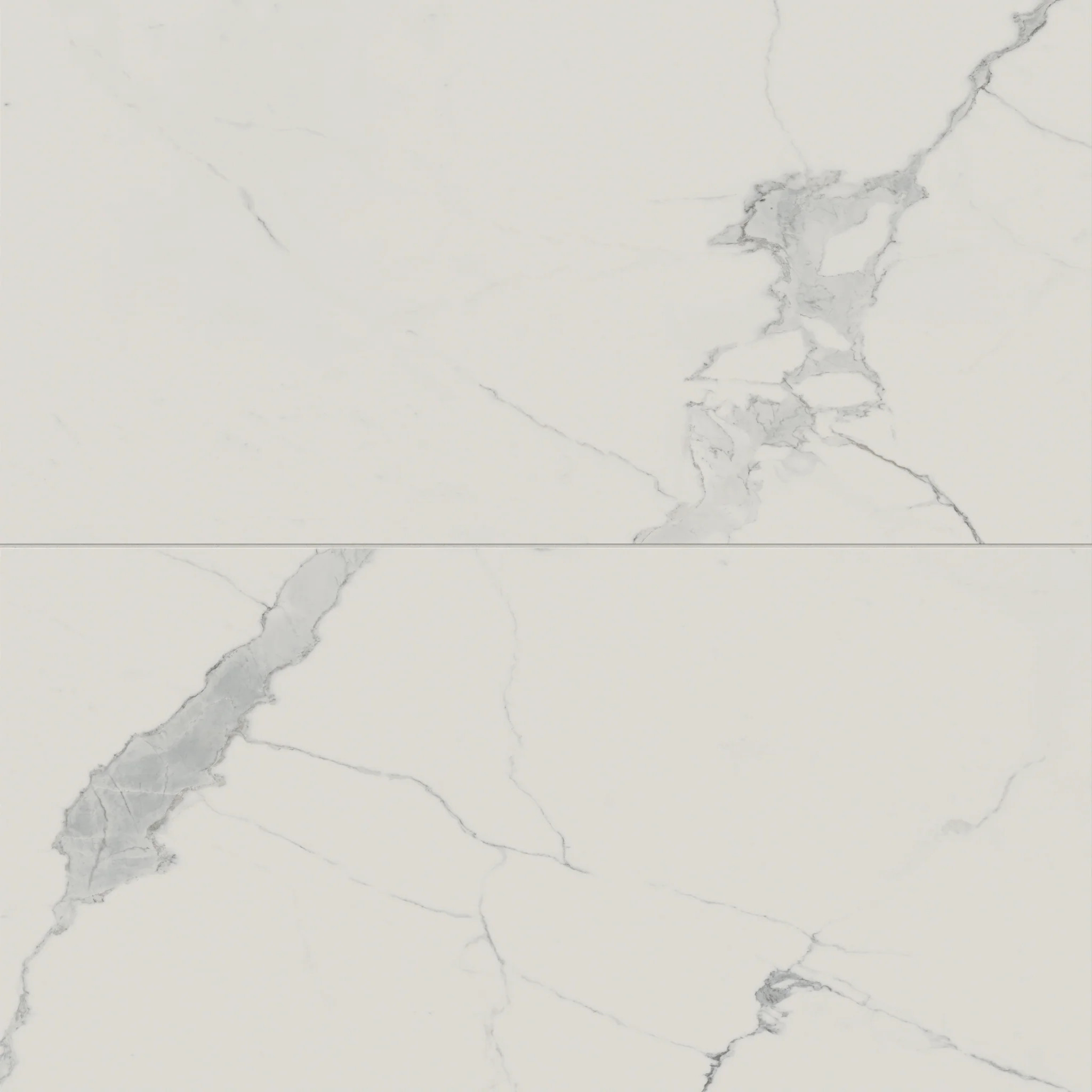 Leona 24x48 Matte Porcelain Tile in Calacatta | Edward Martin