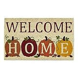 DII Natural Coir Doormat, Fall & Thanksgiving Seasonal Mat, Welcome Home Pumpkins, 18x30 | Amazon (US)