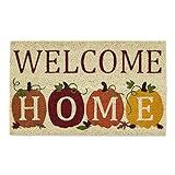 DII Natural Coir Doormat, Fall & Thanksgiving Seasonal Mat, Welcome Home Pumpkins, 18x30 | Amazon (US)