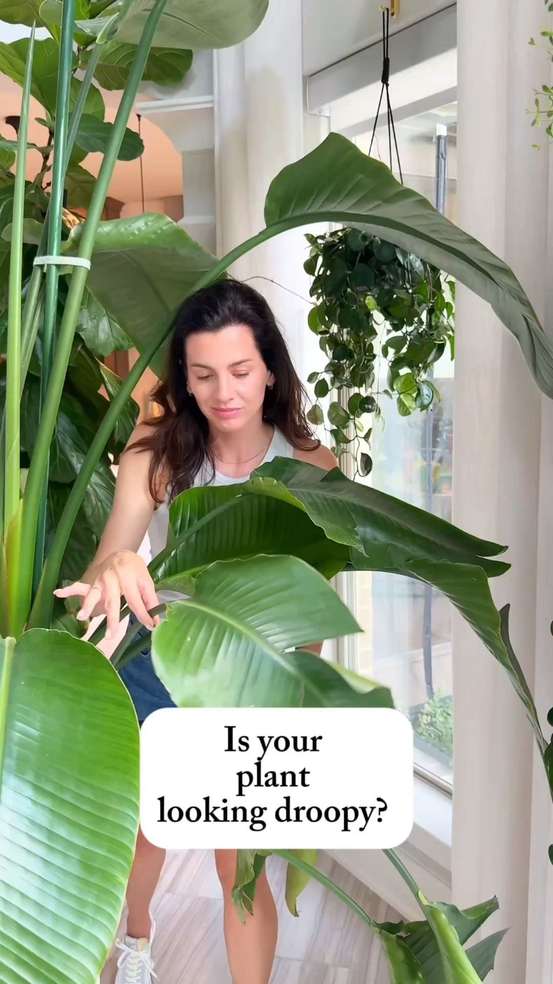 A little drooping after repotting is completely normal. Your plant is adjusting to its new home, and a few simple steps can help it recover and start putting out healthy new growth.

#houseplants #plantcare #indoorplants #plantparent #houseplanttips

repotting houseplants | droopy plant after repotting | transplant shock in plants | how to repot houseplants | indoor plant care tips

#LTKHome #LTKOver40 #LTKmomlife