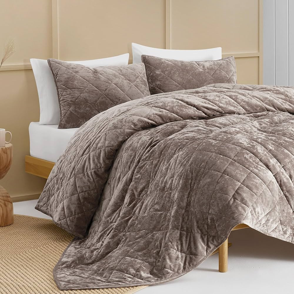 SHALALA Luxury Velvet Quilt Set Queen Size,Ultra Soft Lightweight Summer Velvet Comforter Set, Ov... | Amazon (US)