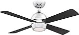 Fanimation FP7644CH Kwad 44 Ceiling Fan, Chrome | Amazon (US)