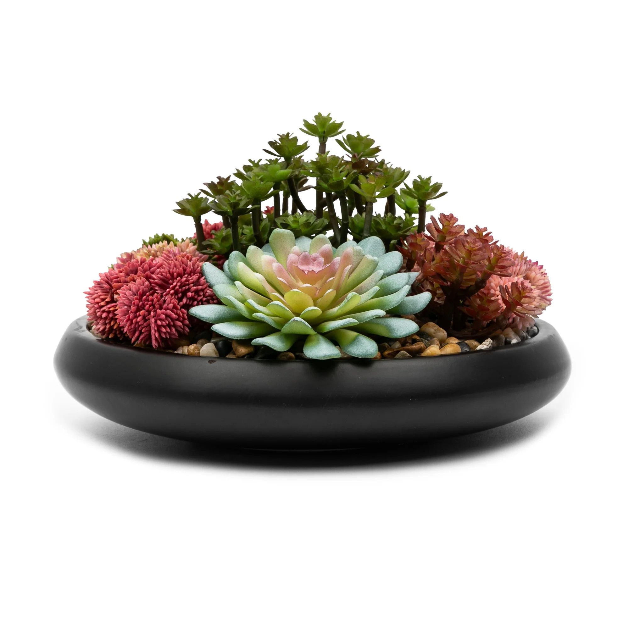 Better Homes & Gardens Artificial Mixed Succulent in Black Round Ceramic Bowl, 9" | Walmart (US)