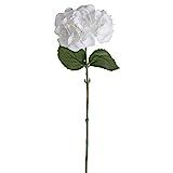 Vickerman 18" Hydrangea Spray Everyday Floral Stem, White | Amazon (US)