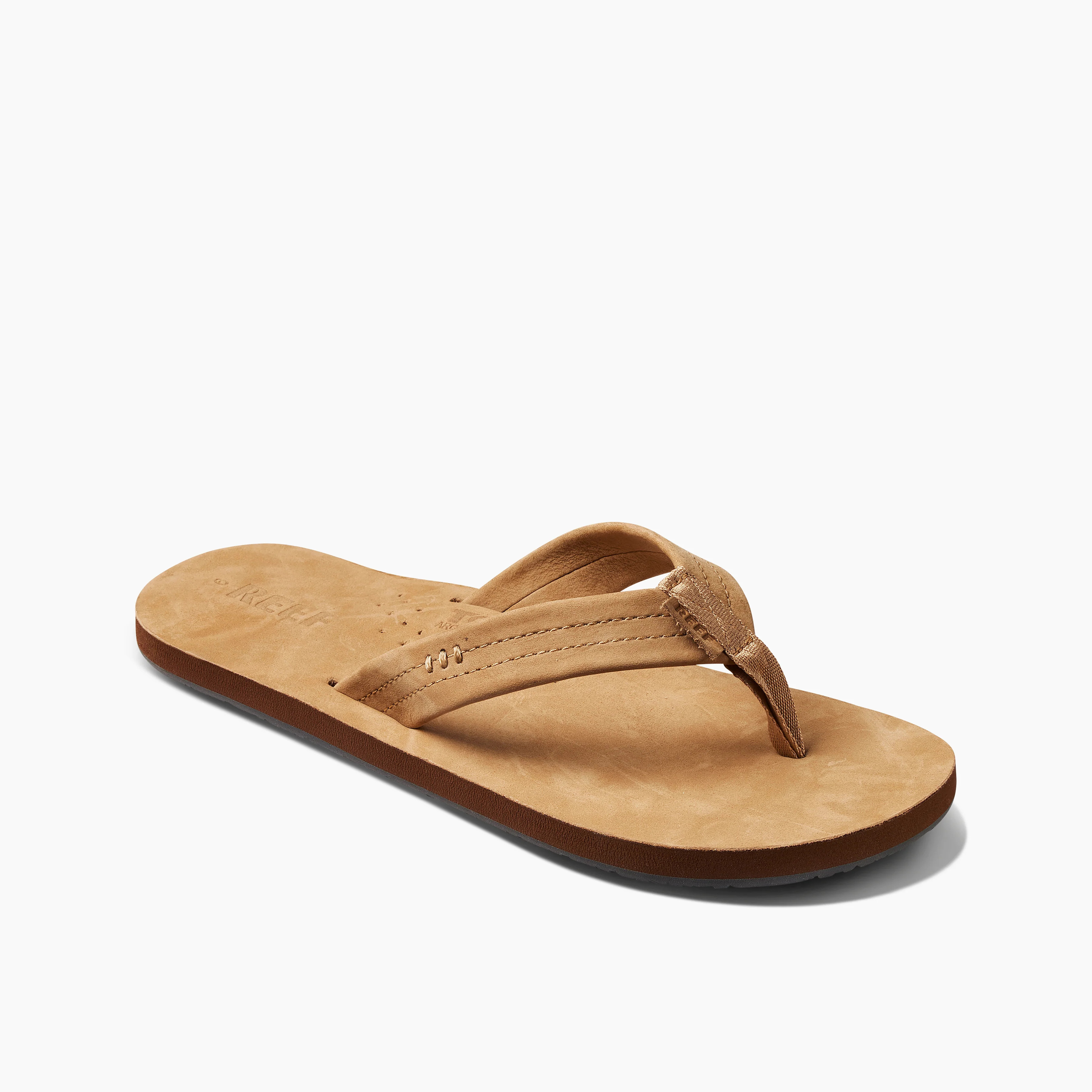 Reef Draftsmen | Reef