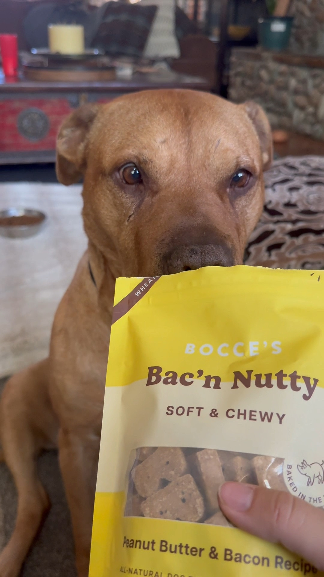 Best dog treats ever! 

#LTKFindsUnder50 #LTKPets #LTKFamily