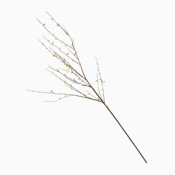 Faux Blossom Branch | West Elm (US)