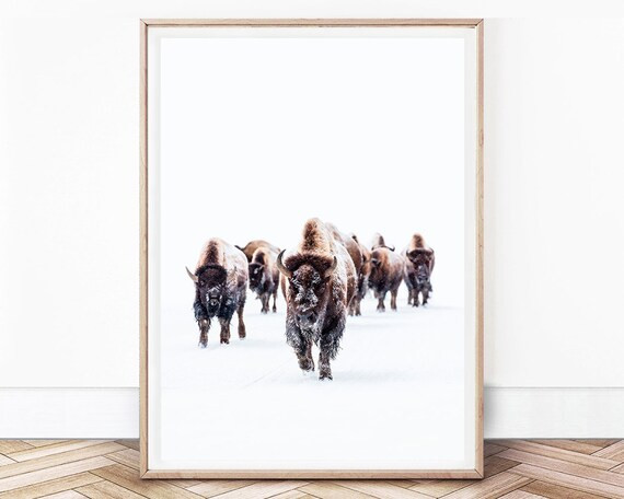 Buffalo Print, Bison Print, Nursery Winter Print, Woodland Animal, Winter Animals, Wilderness Pri... | Etsy (US)