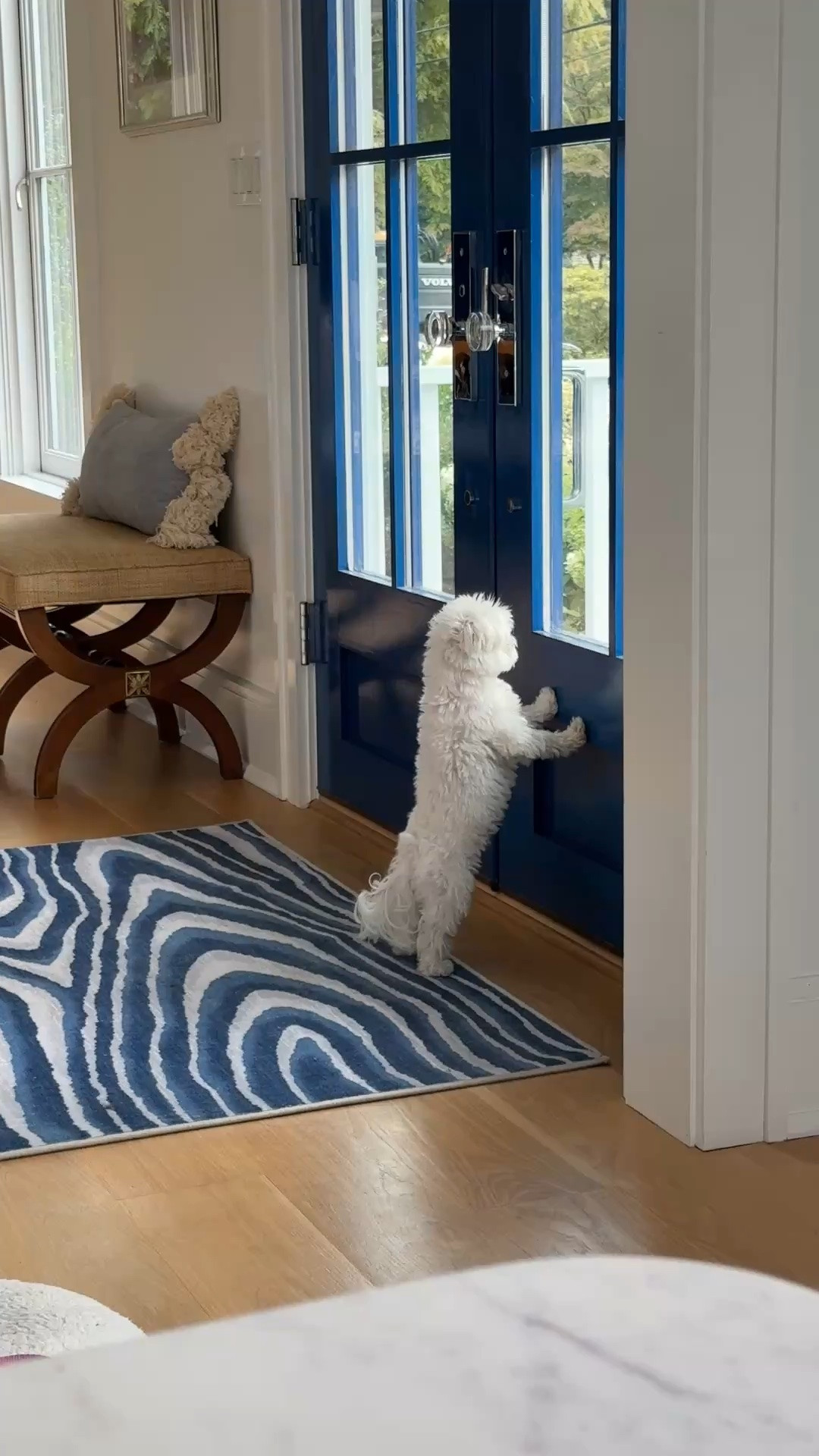 This new entry way rug is an all in one style that is perfect AND washable. Ruggable has so many styles to choose from- I added some selections that are giving Serena & lily vibes without the high price! Sale going on now

#LTKdayinmylife #LTKHome #LTKSaleAlert