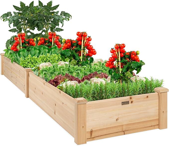 Best Choice Products 8x2ft Elevated Wooden Raised Garden Bed Planter Box w/Bed Liner | Amazon (US)