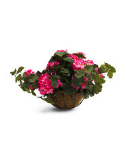 24in Uv Resistant Outdoor Geranium Hanging Basket | Plants & Planters | Marshalls | Marshalls