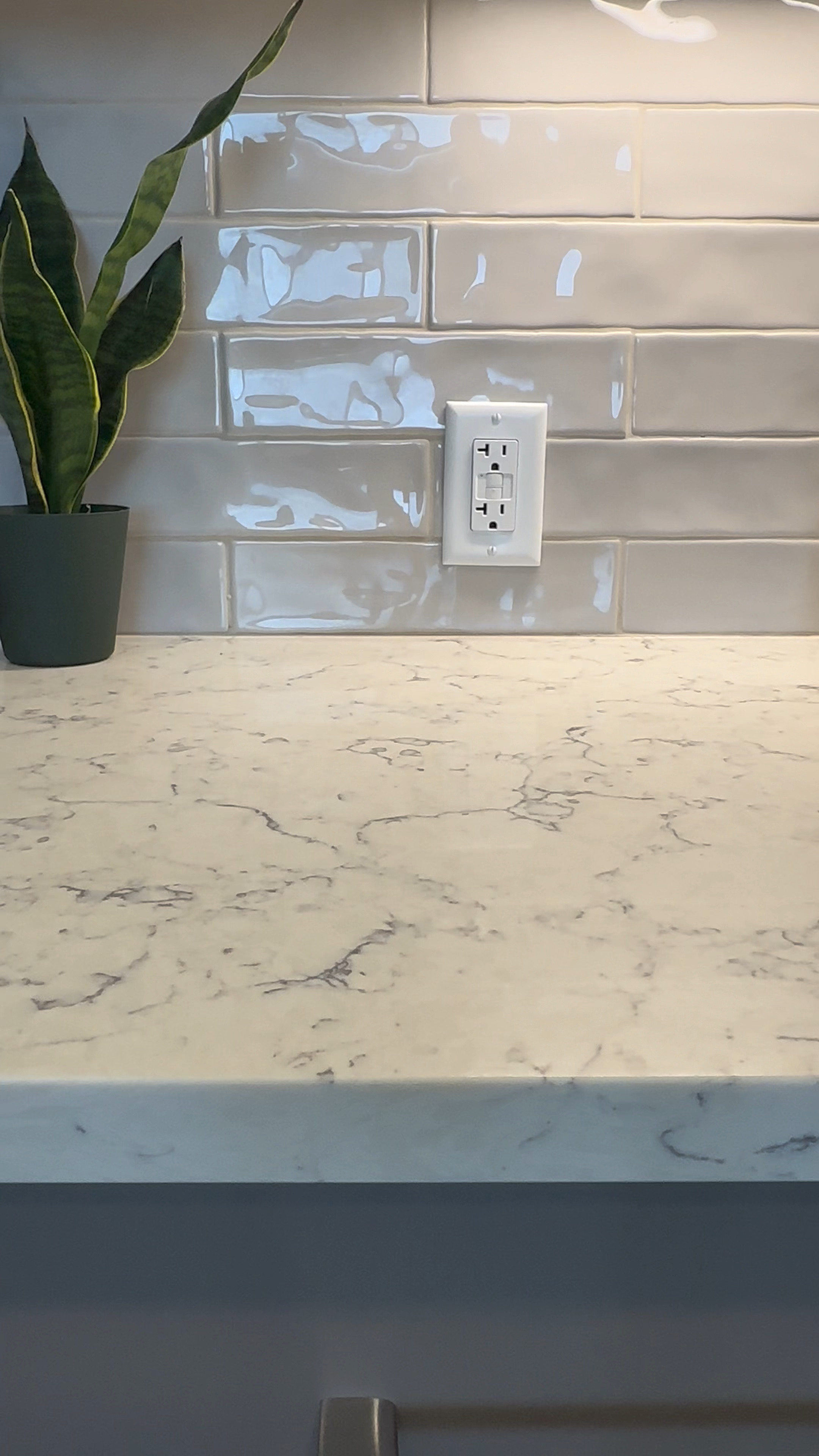 Beautiful Pasta Plates