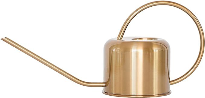 (Gold) Premium Houseplant Watering Can - Decorative Gold / Silver Modern Gardening - Perfect for ... | Amazon (US)