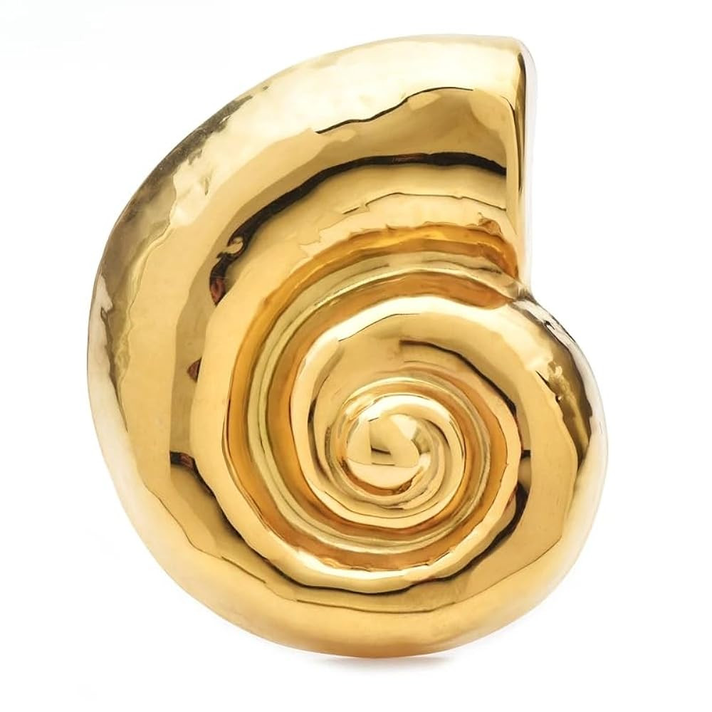 Big Stainless Steel Shell Brooches For Women Snail Shell Metal Brooch Lapel Pin | Amazon (US)
