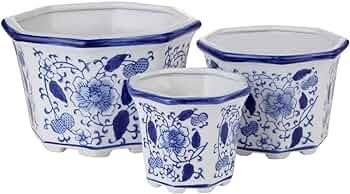 HakkaGirl Ceramic Flower Pots, White Ceramic Planter Plant Pots Indoor Decorative for Succulent C... | Amazon (US)