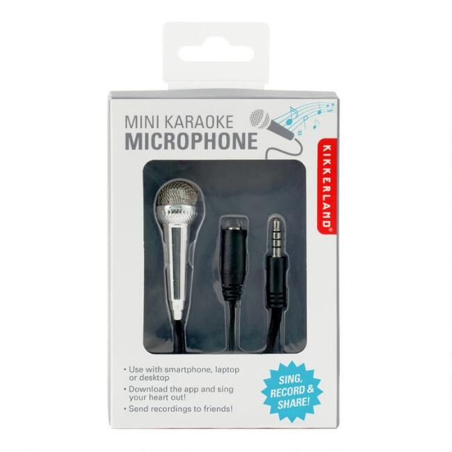 Kikkerland Miniature Karaoke Microphone | World Market