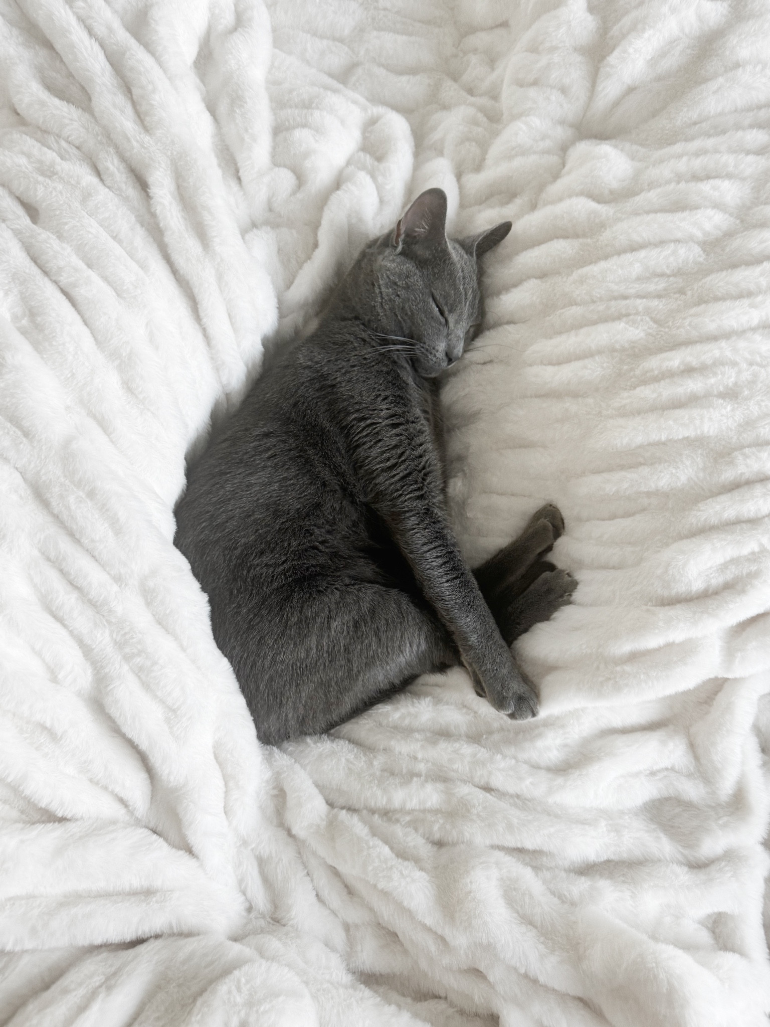 Coziest blanket of all time ☁️

#LTKCyberWeek #LTKGiftGuide #LTKSeasonal