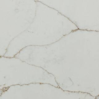 STONEMARK 4 in. x 4 in. Quartz Countertop Sample in Calacatta Prado P-QSL-CALPR-4X4 - The Home De... | The Home Depot
