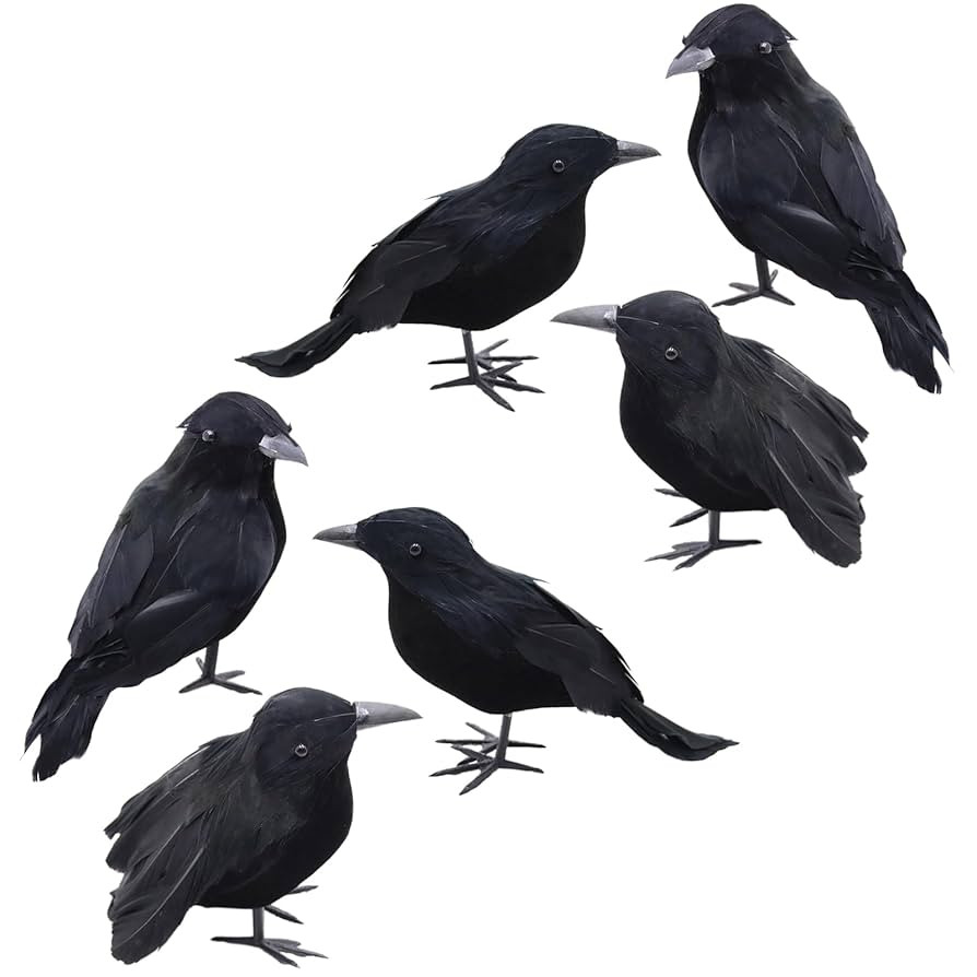 6 PCS Halloween Black Crows,7x4inches Realistic Feathered Ravens Prop for Indoor&Outdoor Foam Bla... | Amazon (US)